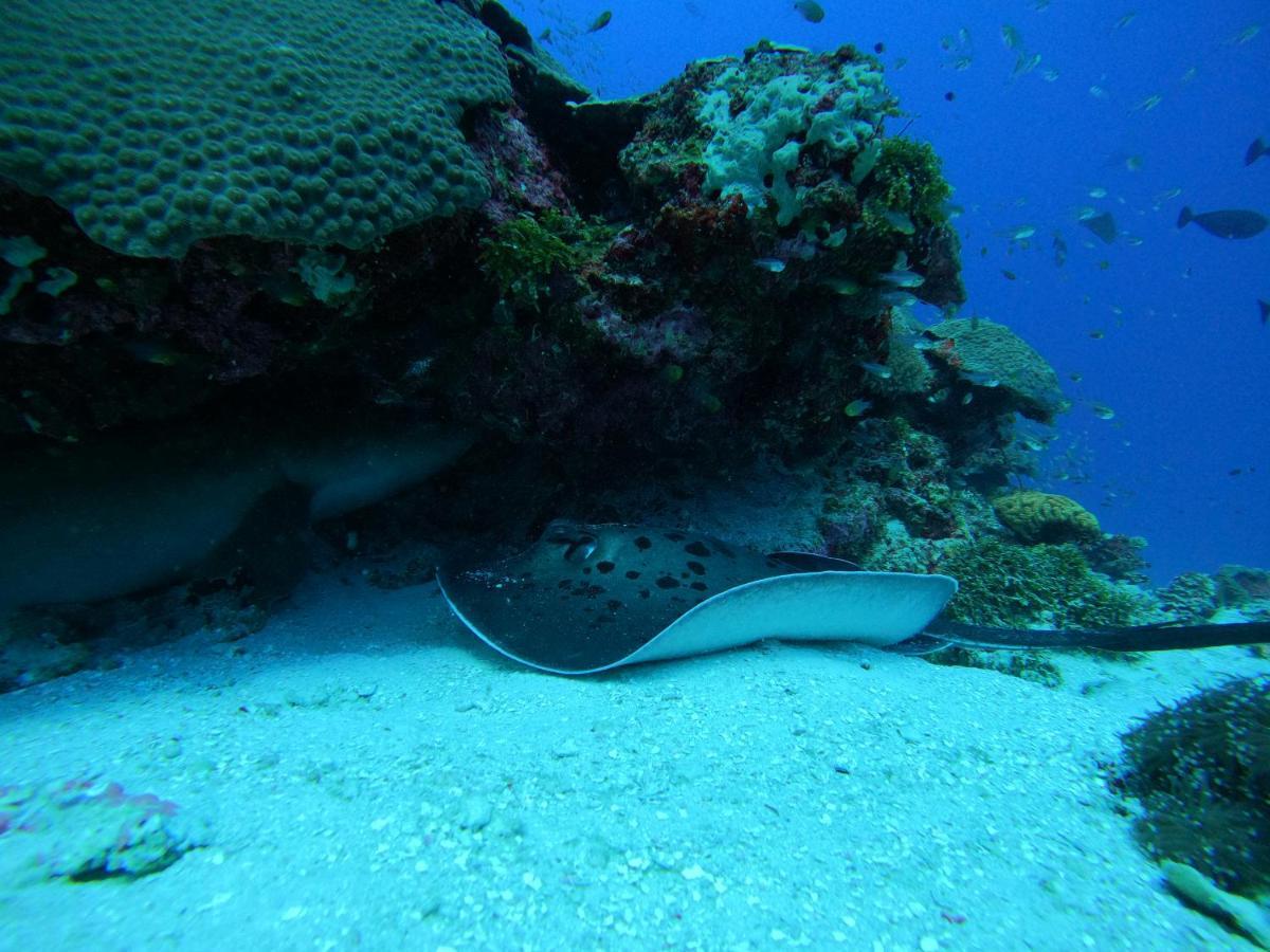 Coral Beach Maldives Hangnaameedhoo エクステリア 写真